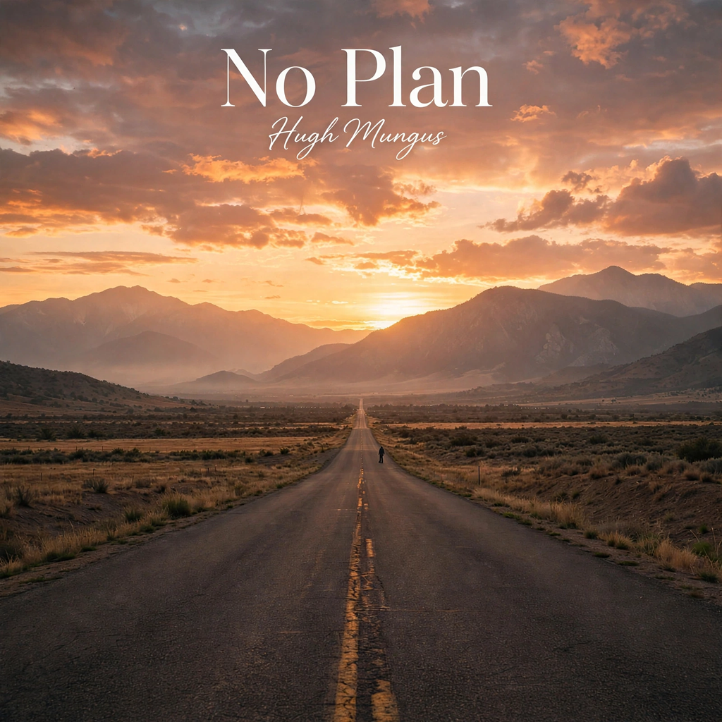 No Plan